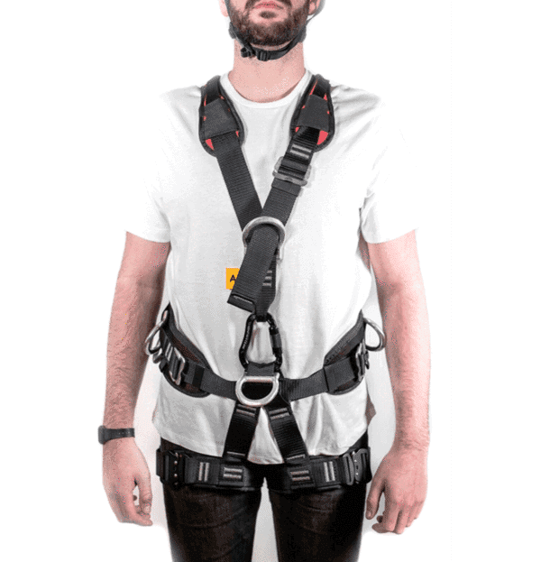 Figure 1 - Body Harness