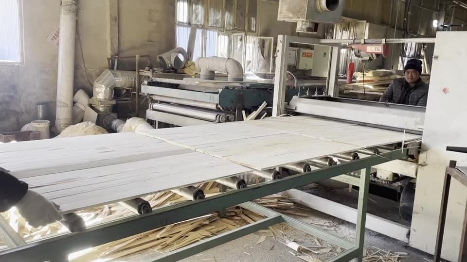 LVL Scaffold Planks-factory